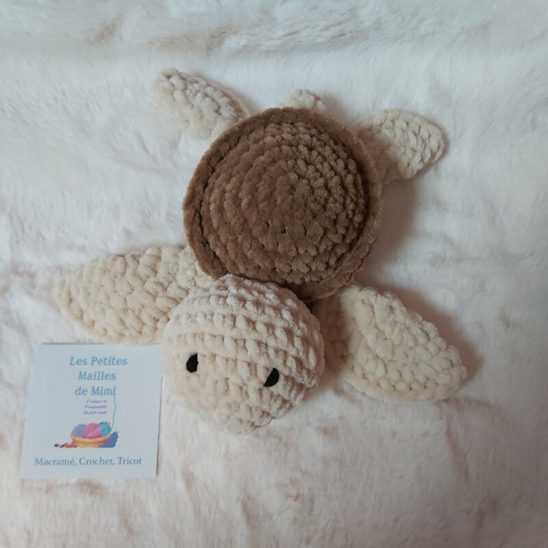 tortue écru et marron