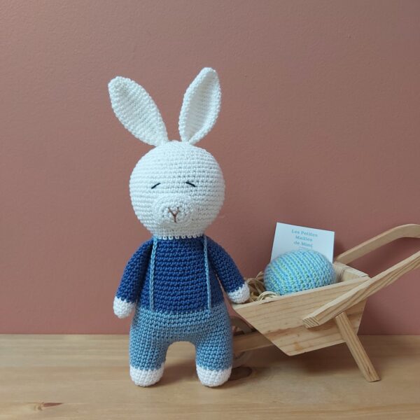 Lapin blanc et bleu