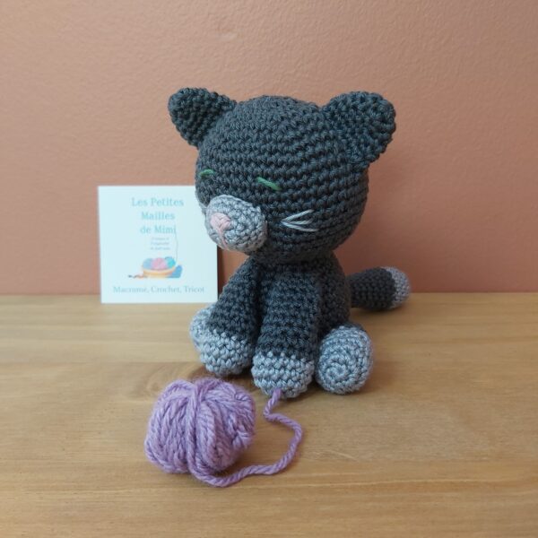 Chat gris
