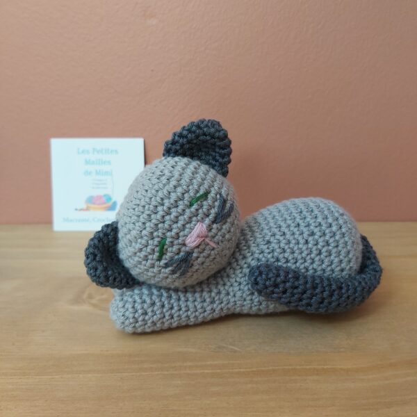 chat gris endormi