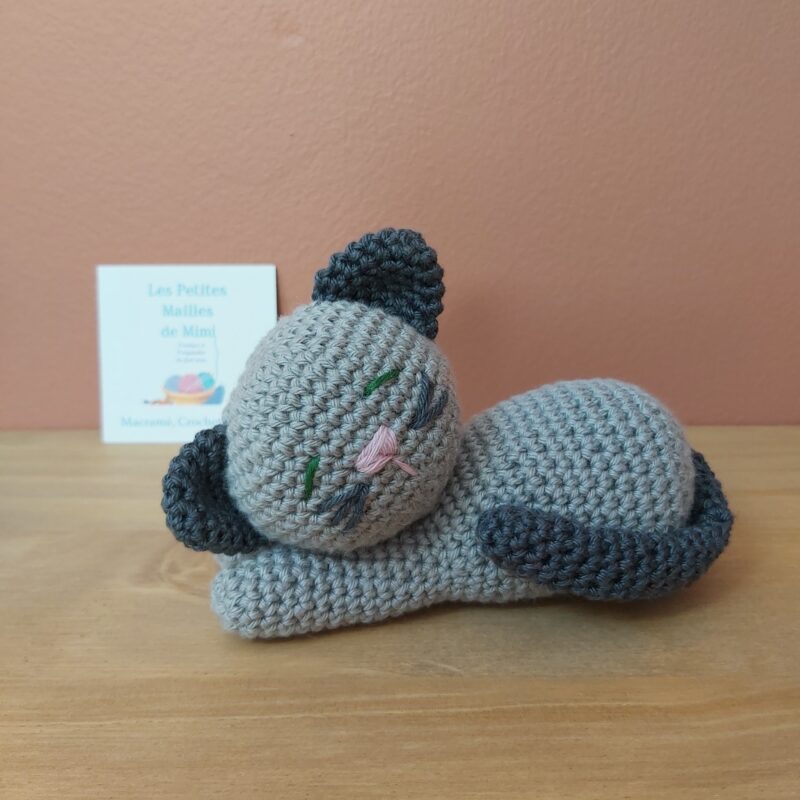 chat gris endormi