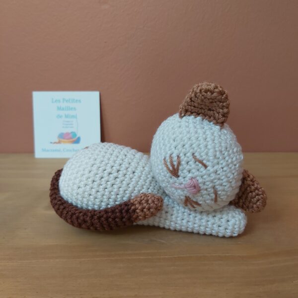 chat beige endormi