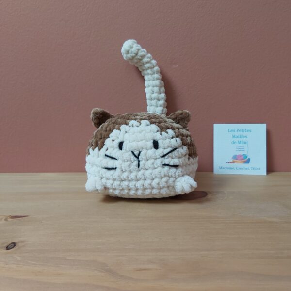 Chaton marron et beige