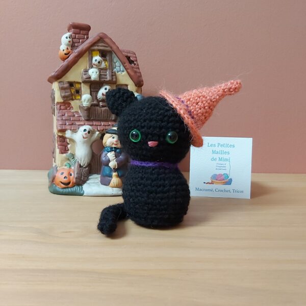 chat noir sorcier