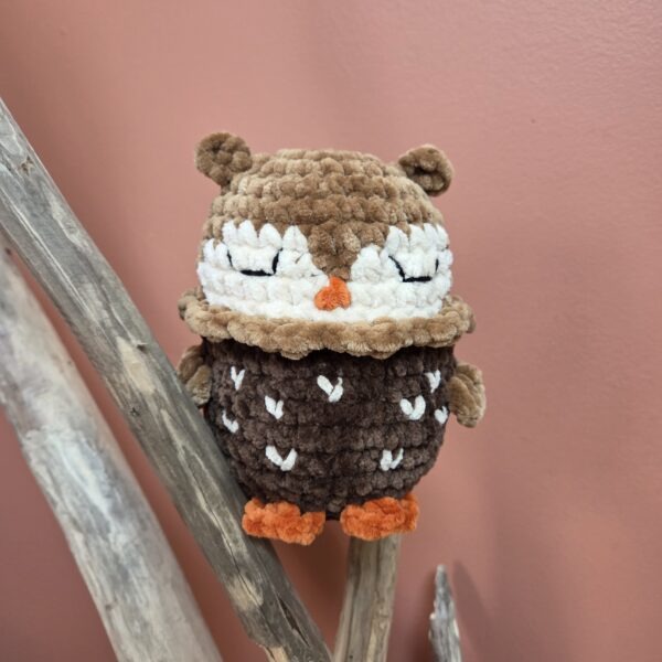 Hibou marron