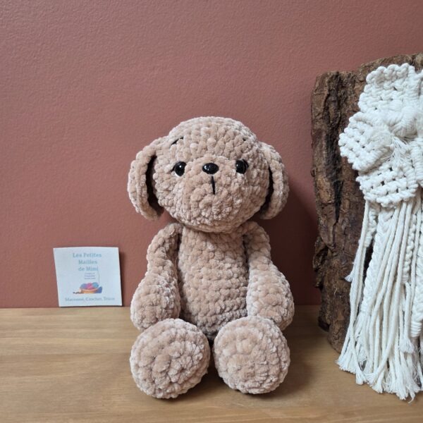 chiot golden retriever