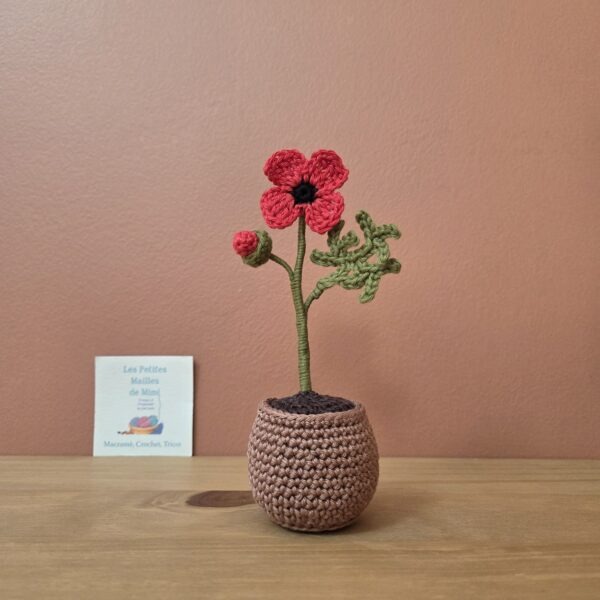 coquelicot avec bouton