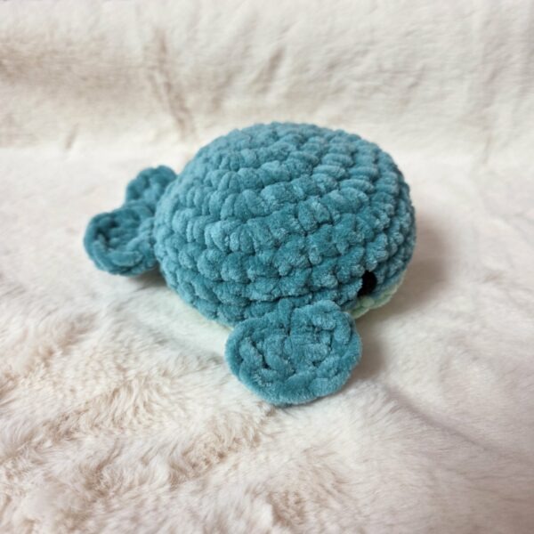 baleine ronde