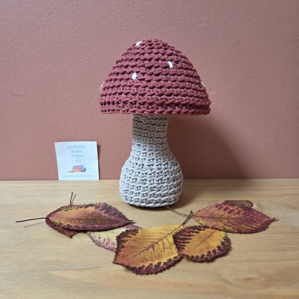champignon au crochet
