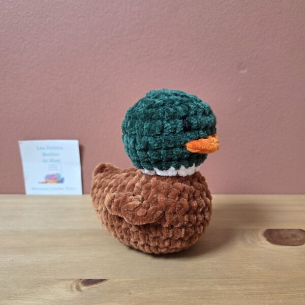 canard